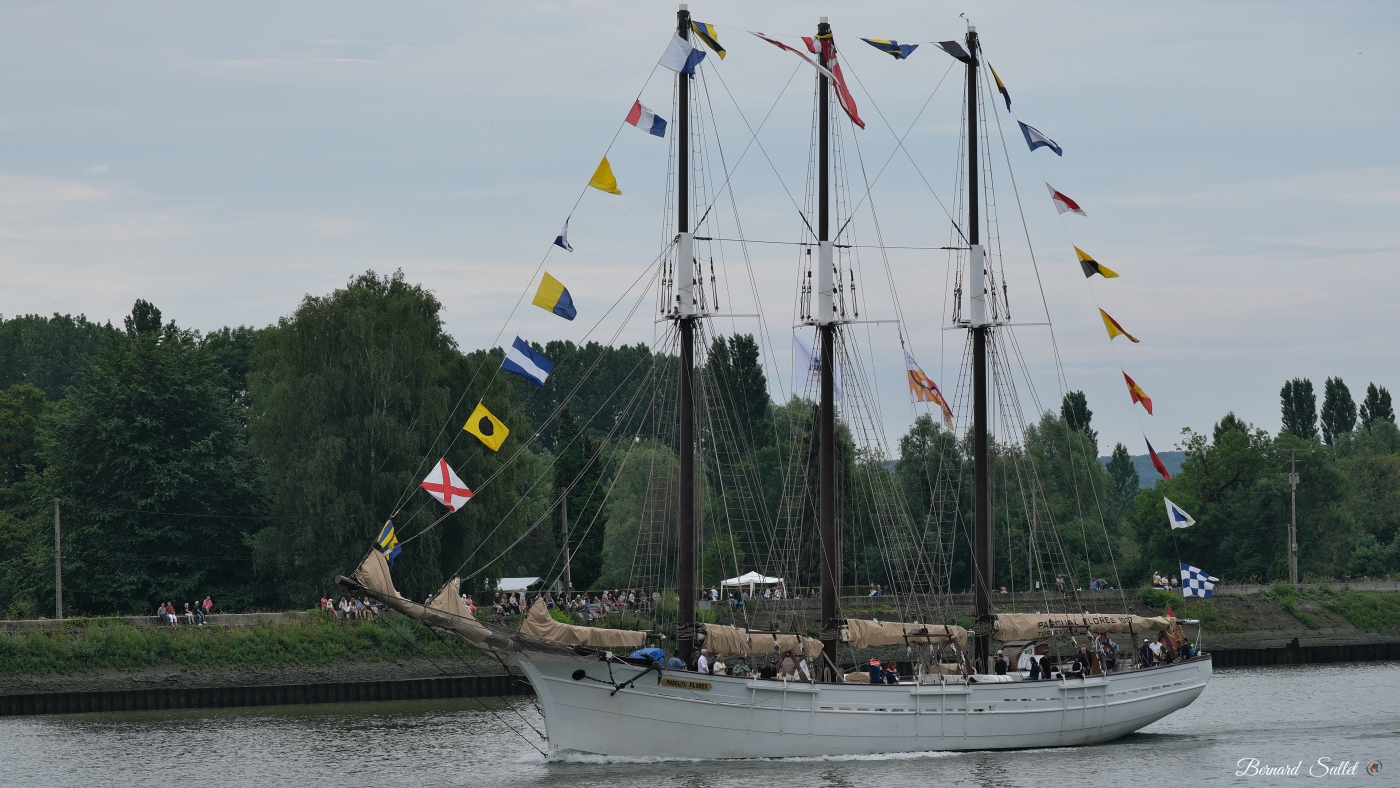 DSCF0436.jpg