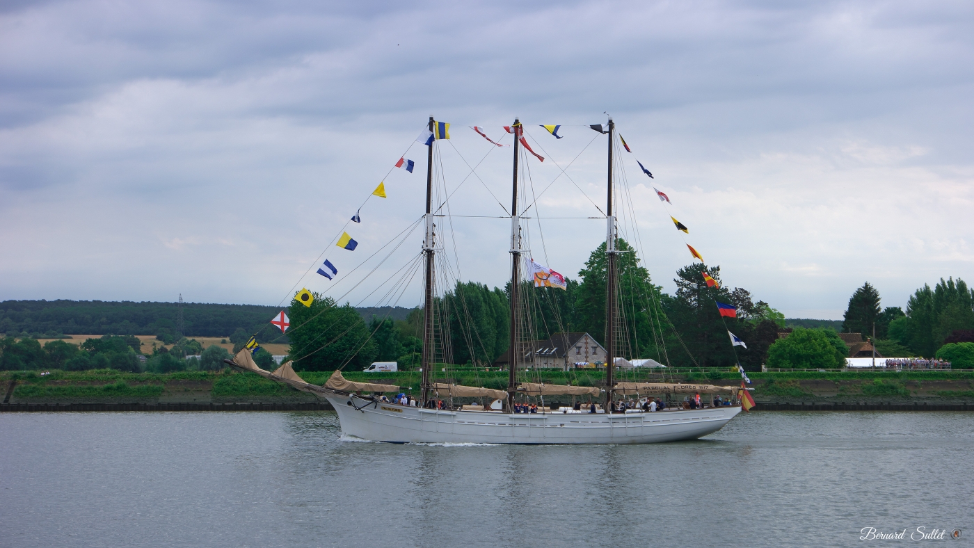 _SAM0255.jpg