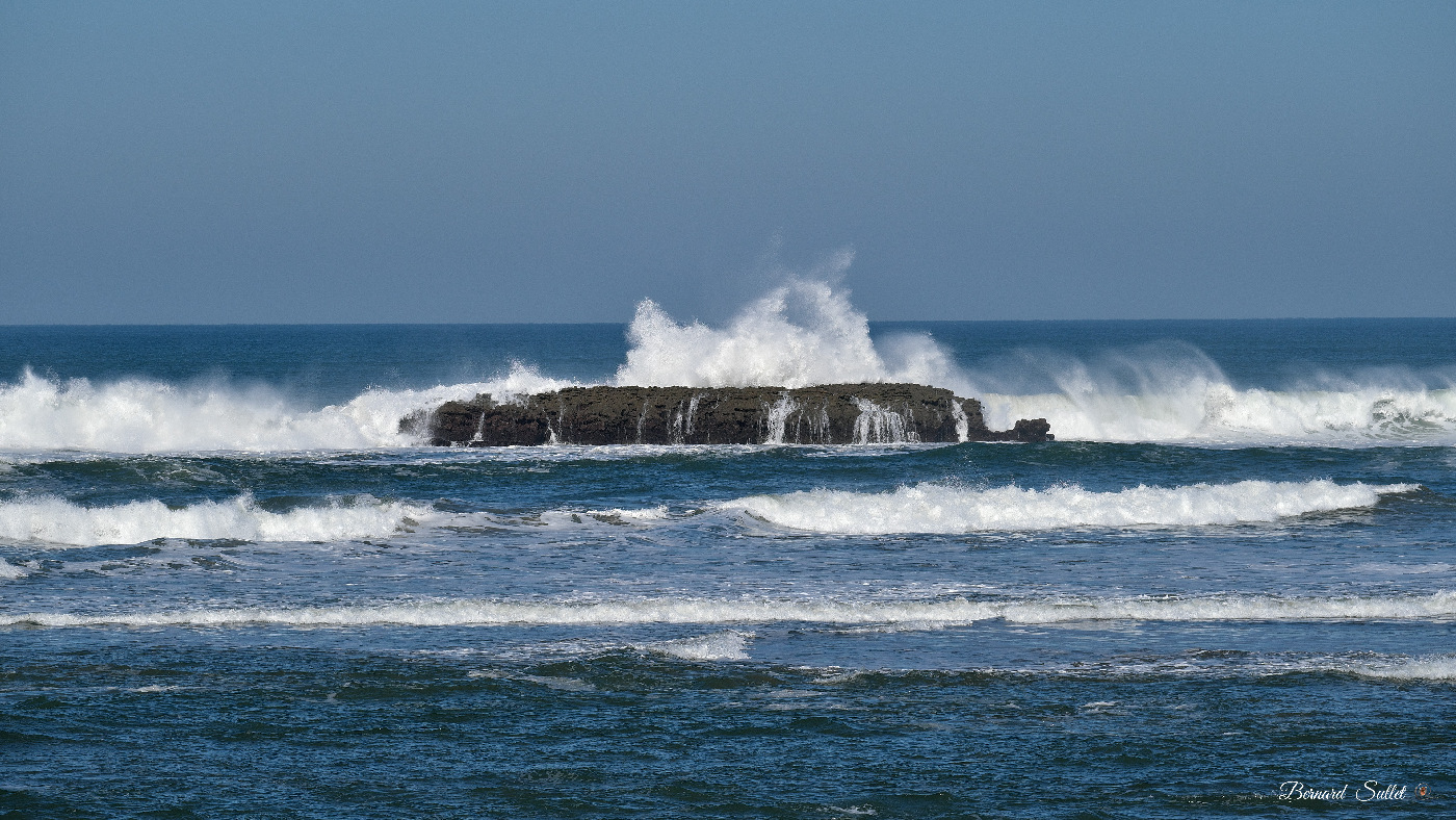 DSCF1378.jpg