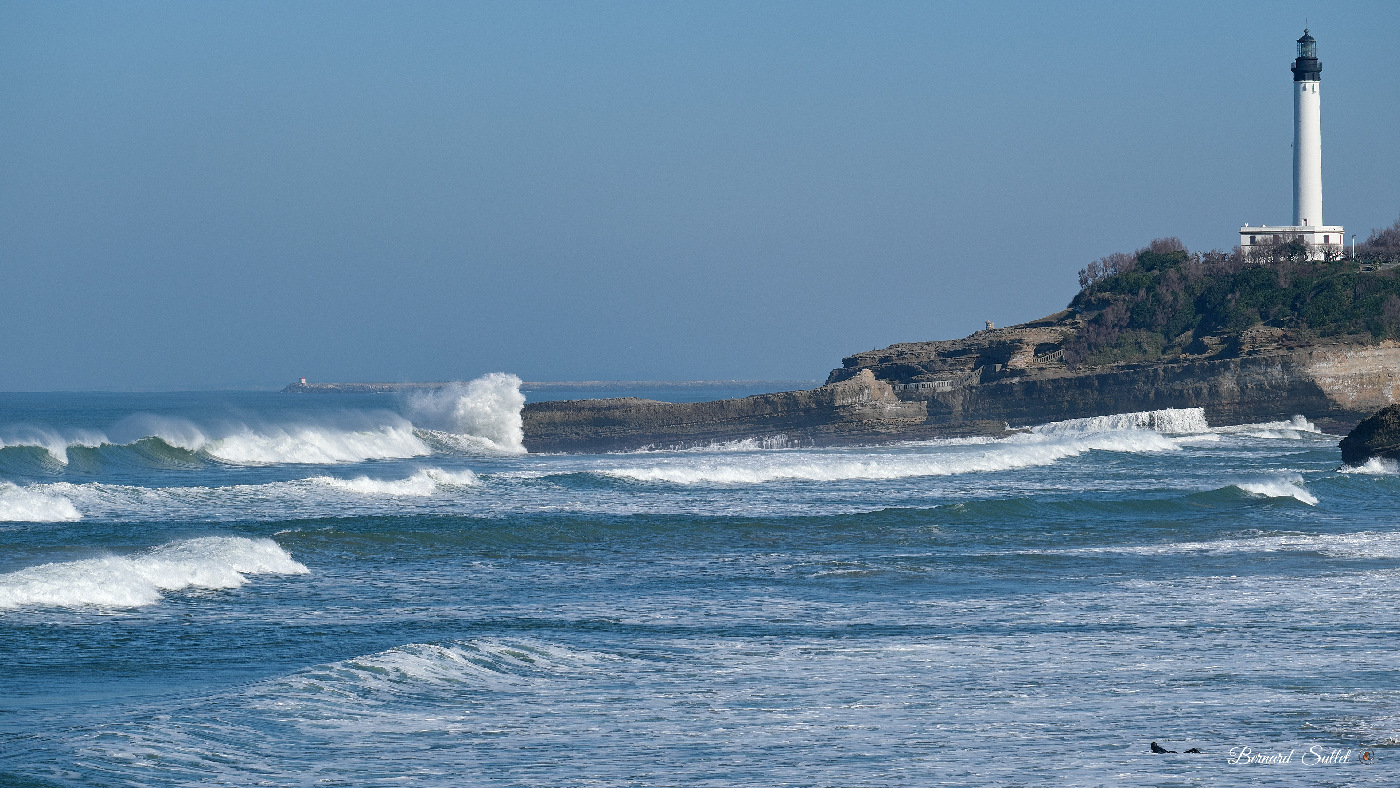 DSCF1392.jpg