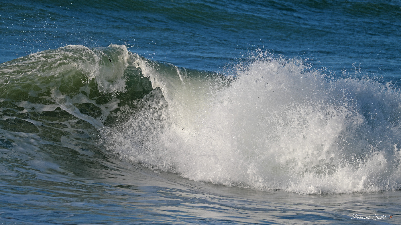 DSCF1449.jpg