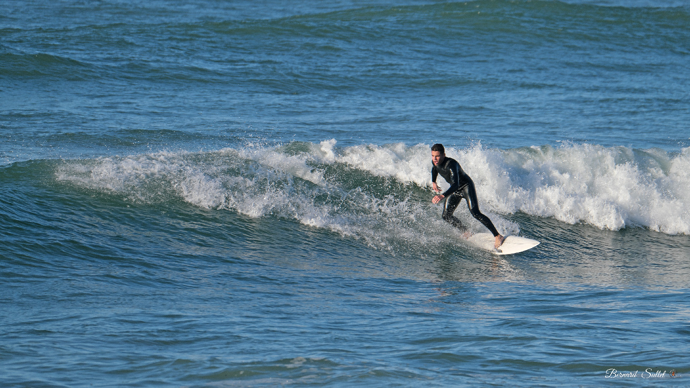 DSCF1455.jpg