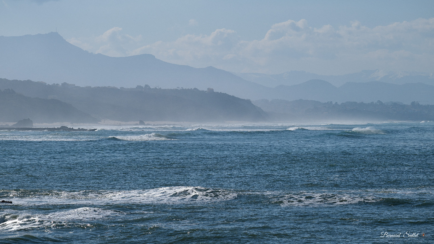 DSCF1479.jpg