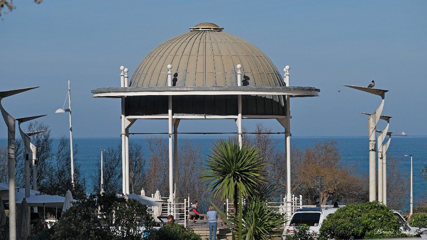 DSCF1508.jpg