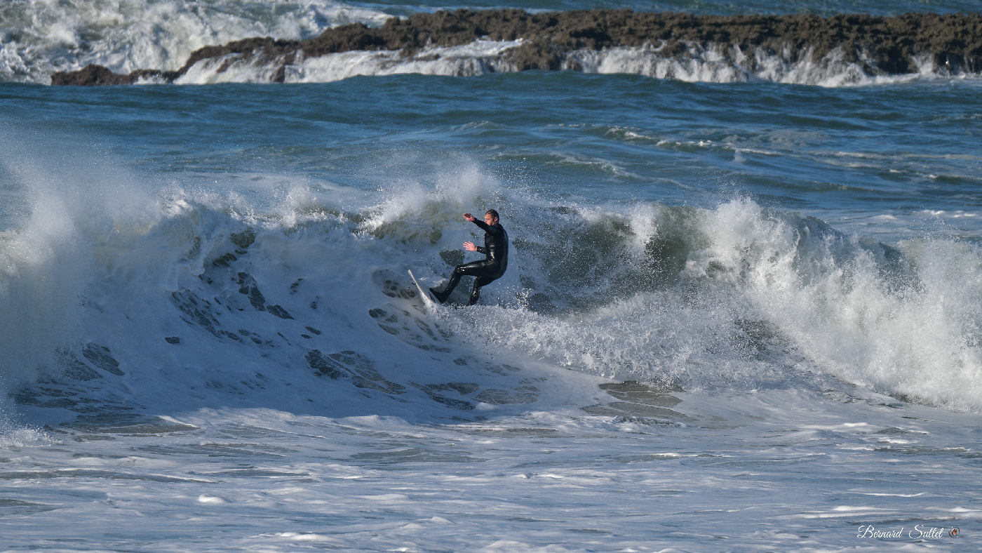 DSCF1538.jpg