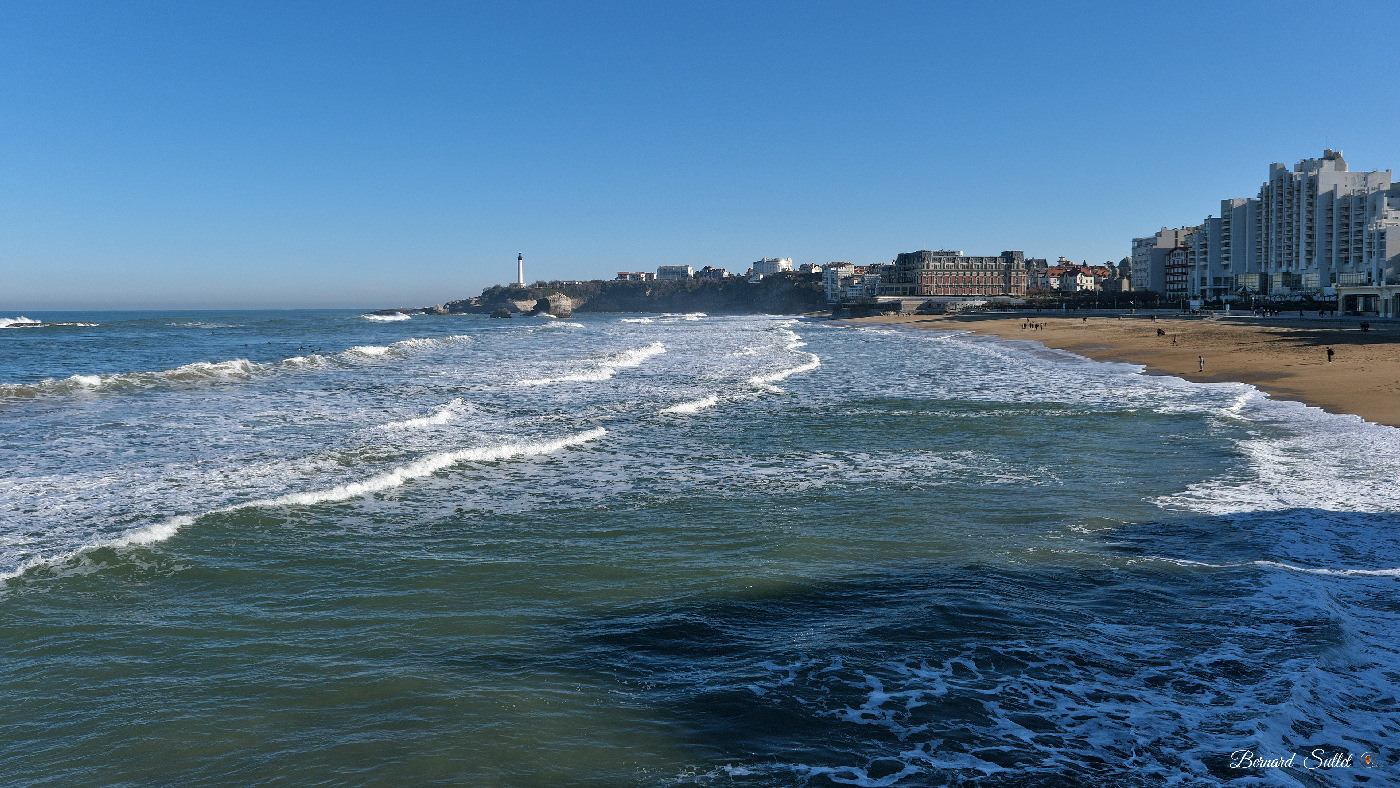 DSCF1549.jpg