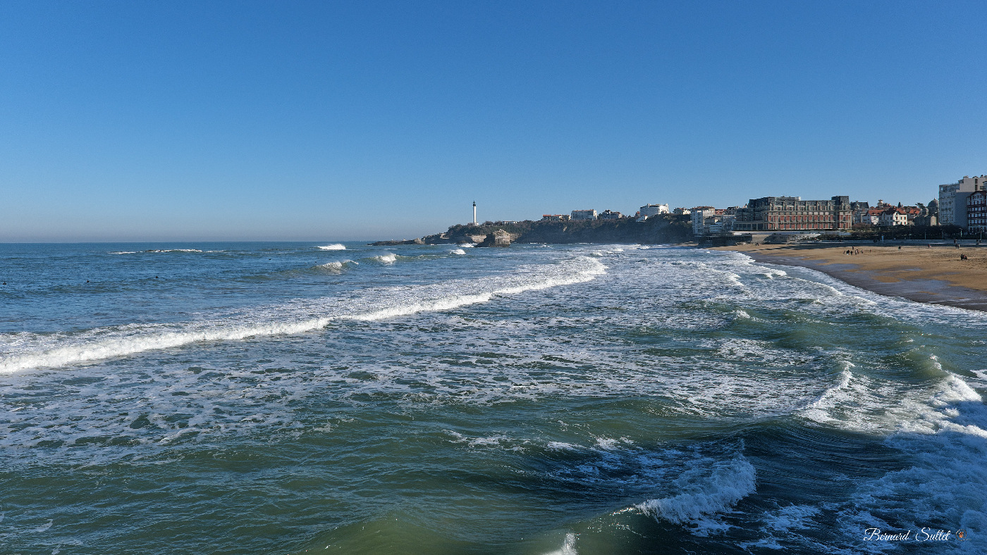 DSCF1550.jpg
