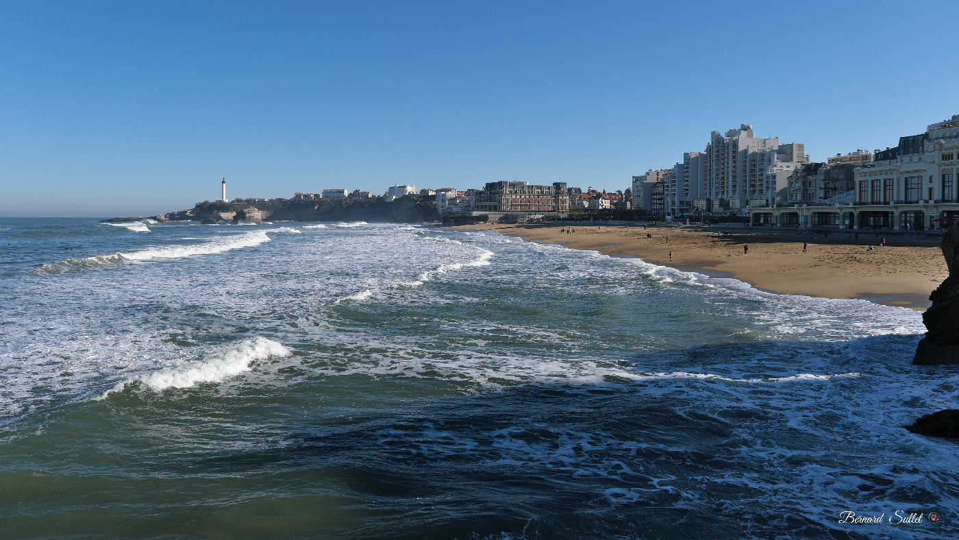 DSCF1551.jpg