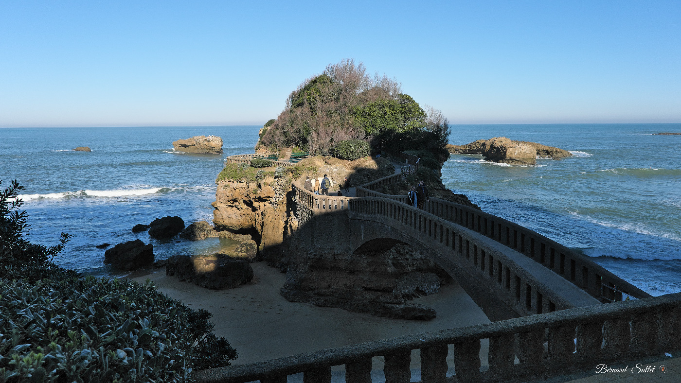 DSCF1560.jpg