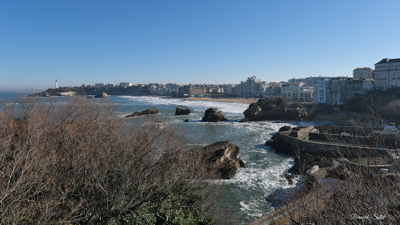 DSCF1561.jpg