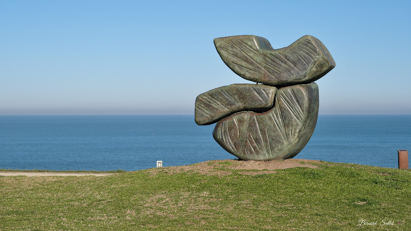 DSCF1563.jpg