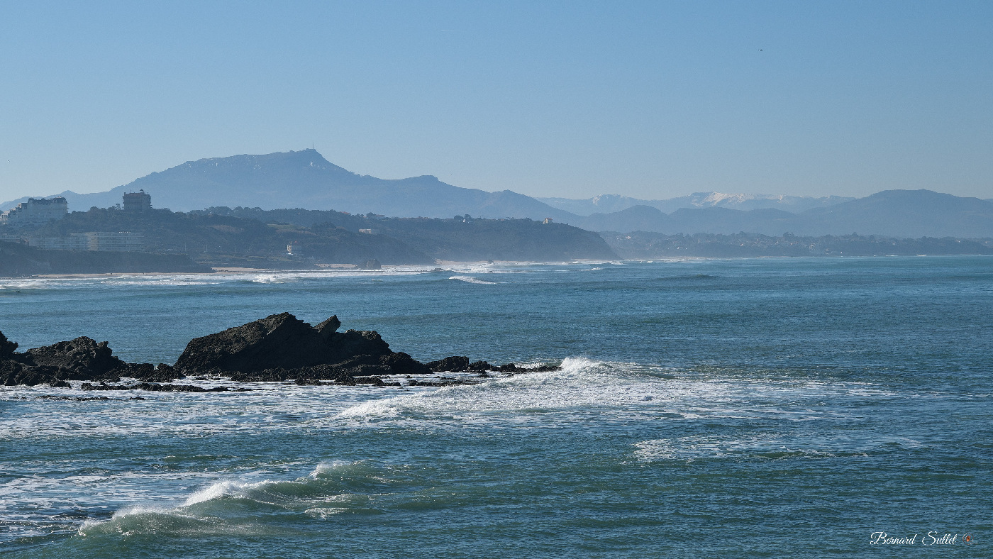 DSCF1595.jpg