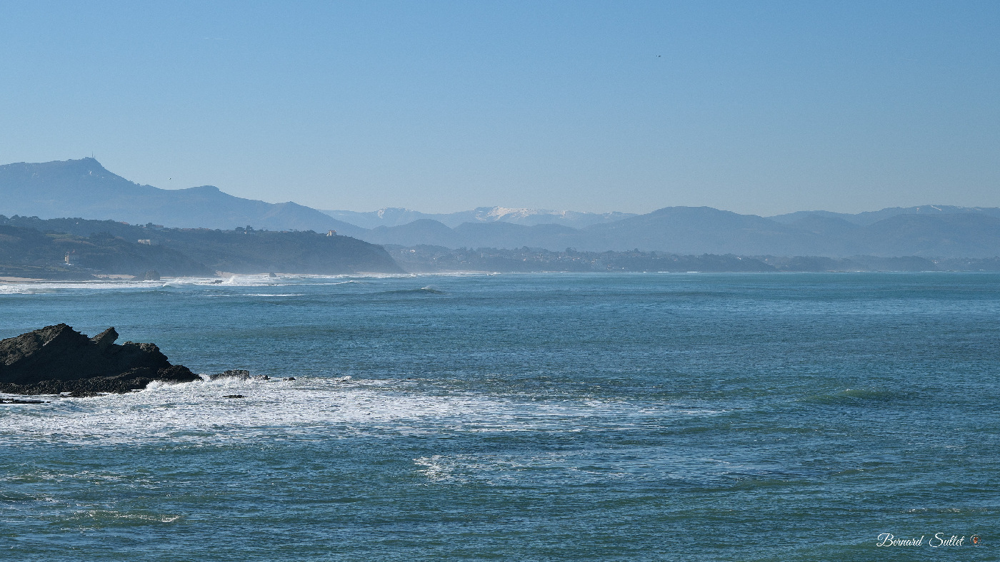 DSCF1596.jpg