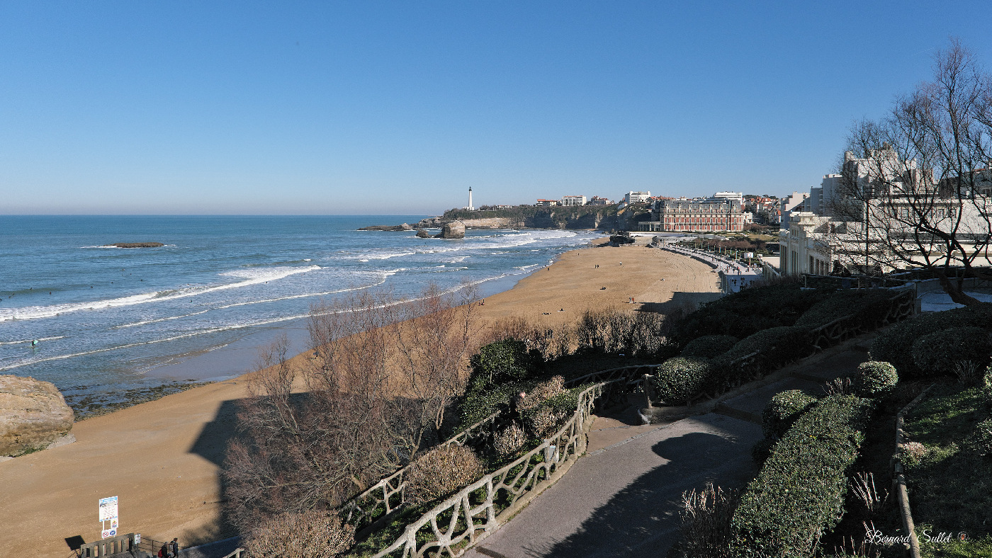 DSCF1654.jpg