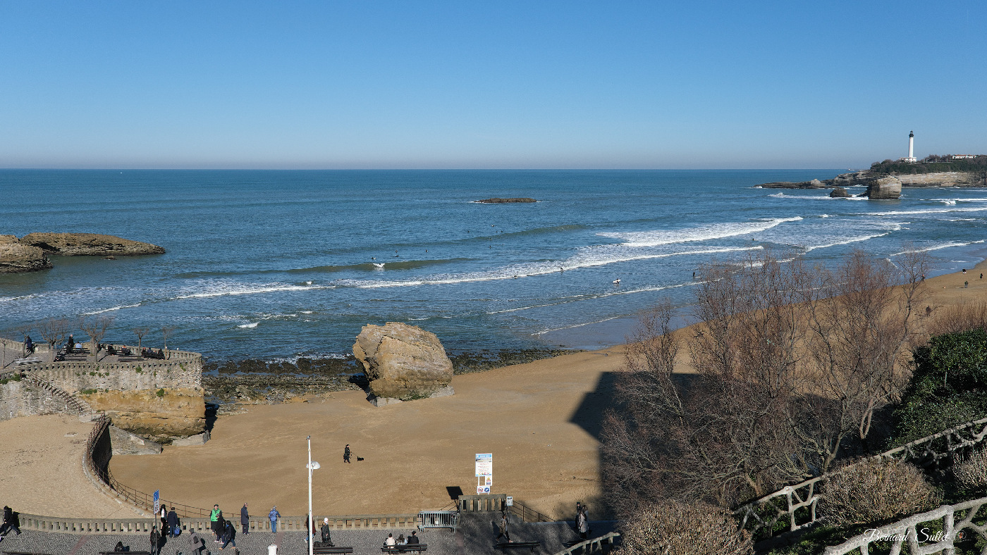 DSCF1659.jpg