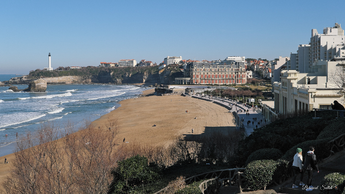 DSCF1662.jpg