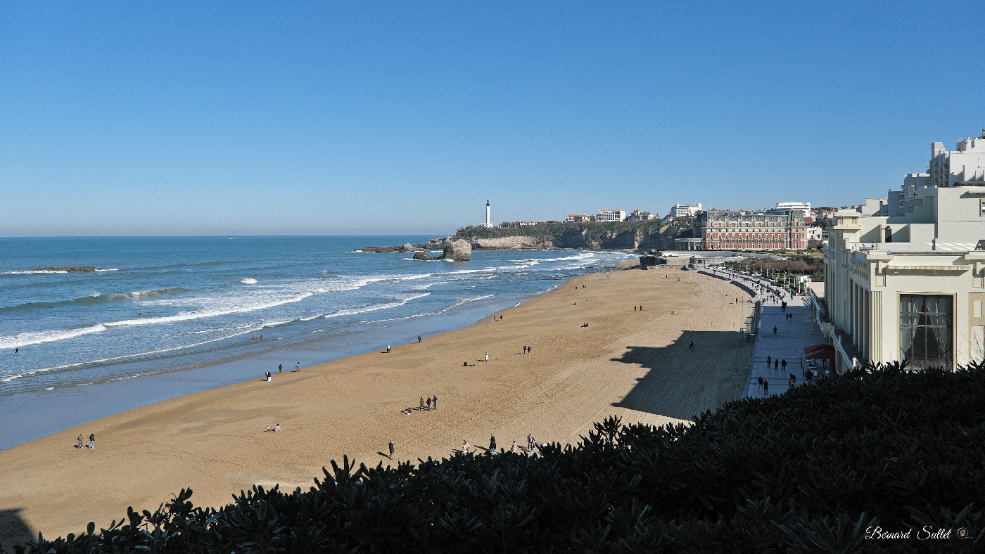 DSCF1667.jpg