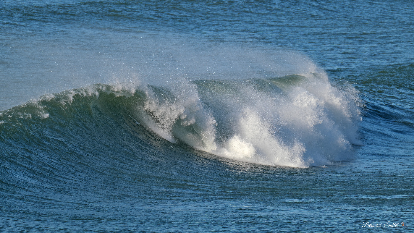 DSCF1708.jpg