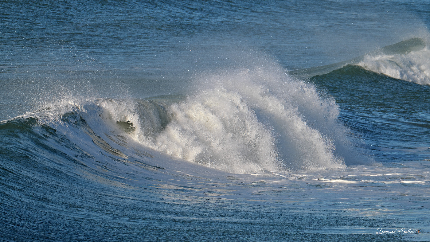 DSCF1709.jpg