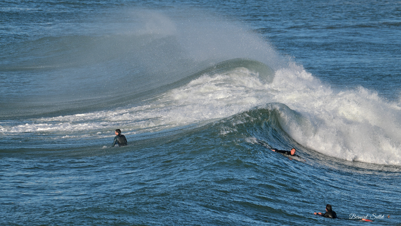 DSCF1719.jpg