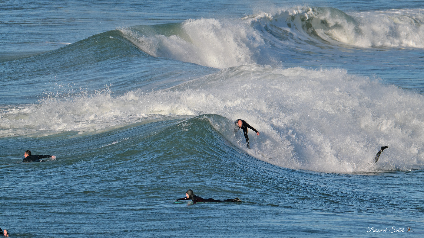 DSCF1731.jpg