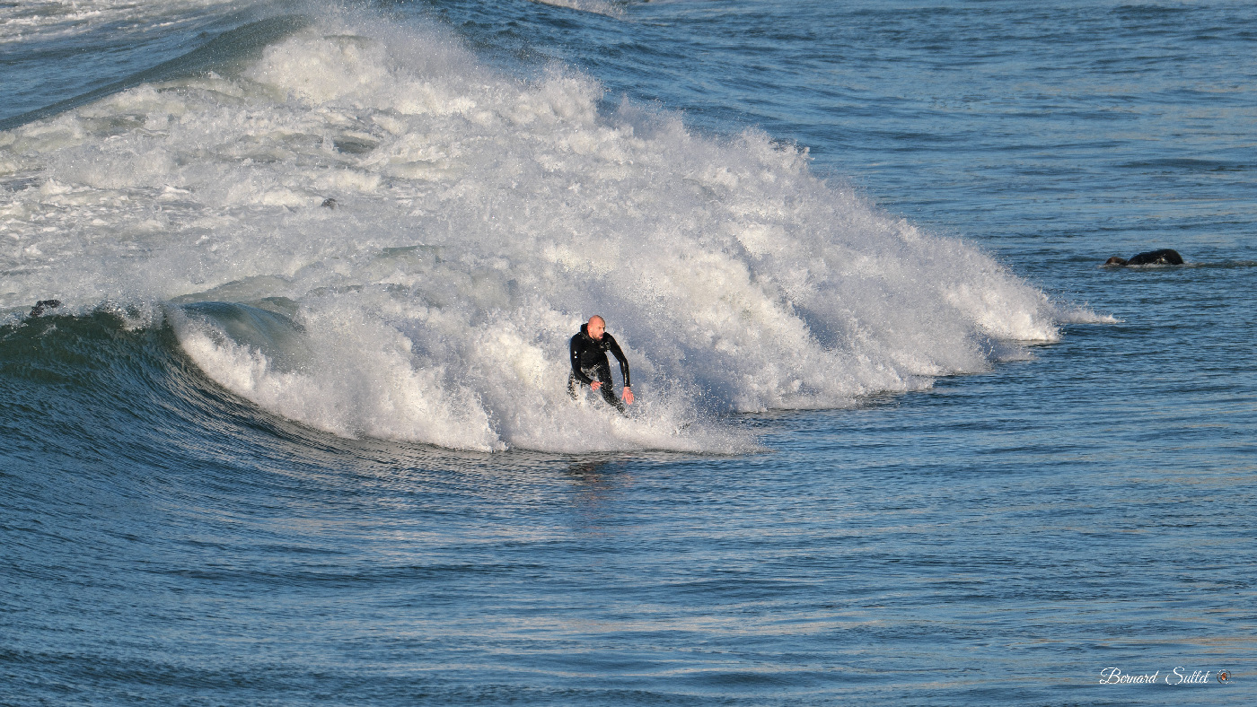 DSCF1766.jpg