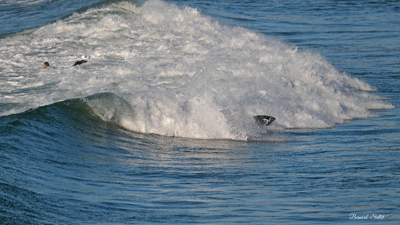 DSCF1768.jpg