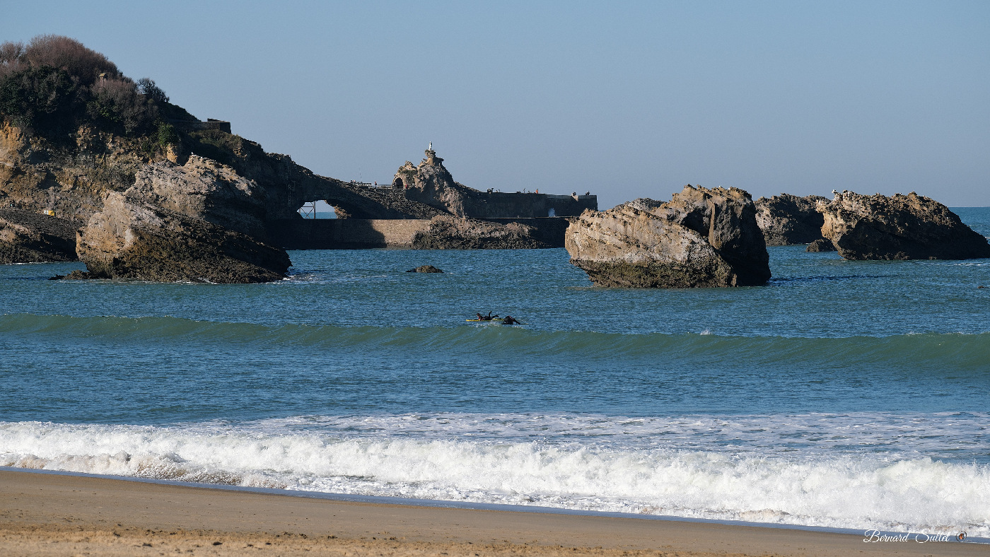 DSCF1785.jpg