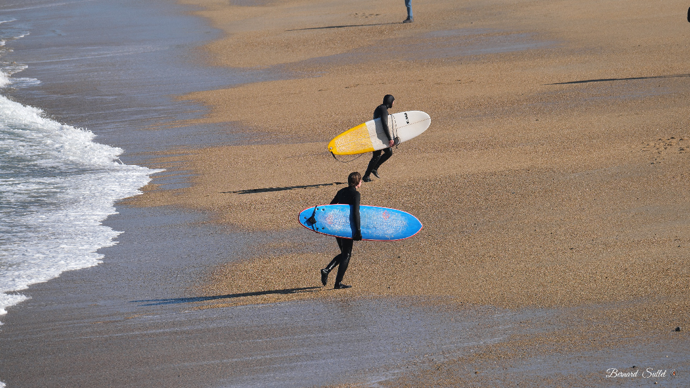 DSCF1807.jpg