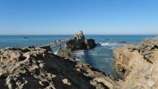 DSCF1586.jpg DSCF1586.jpg