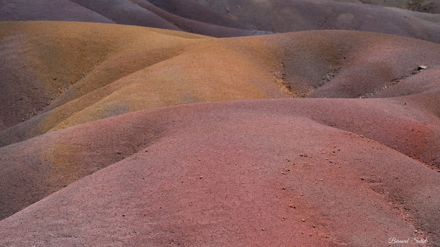 DSCF1464-2.jpg