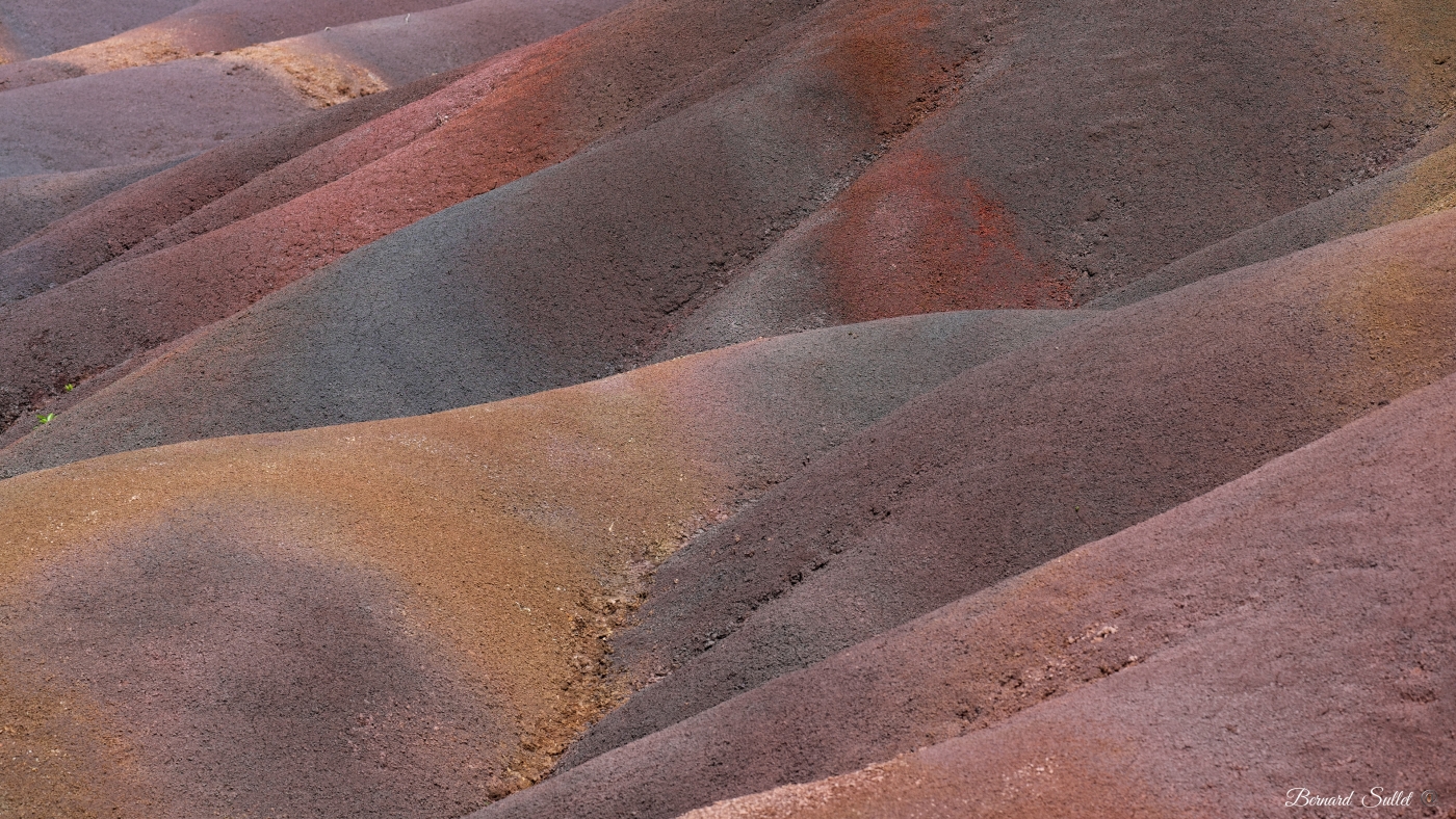 DSCF1465-2.jpg