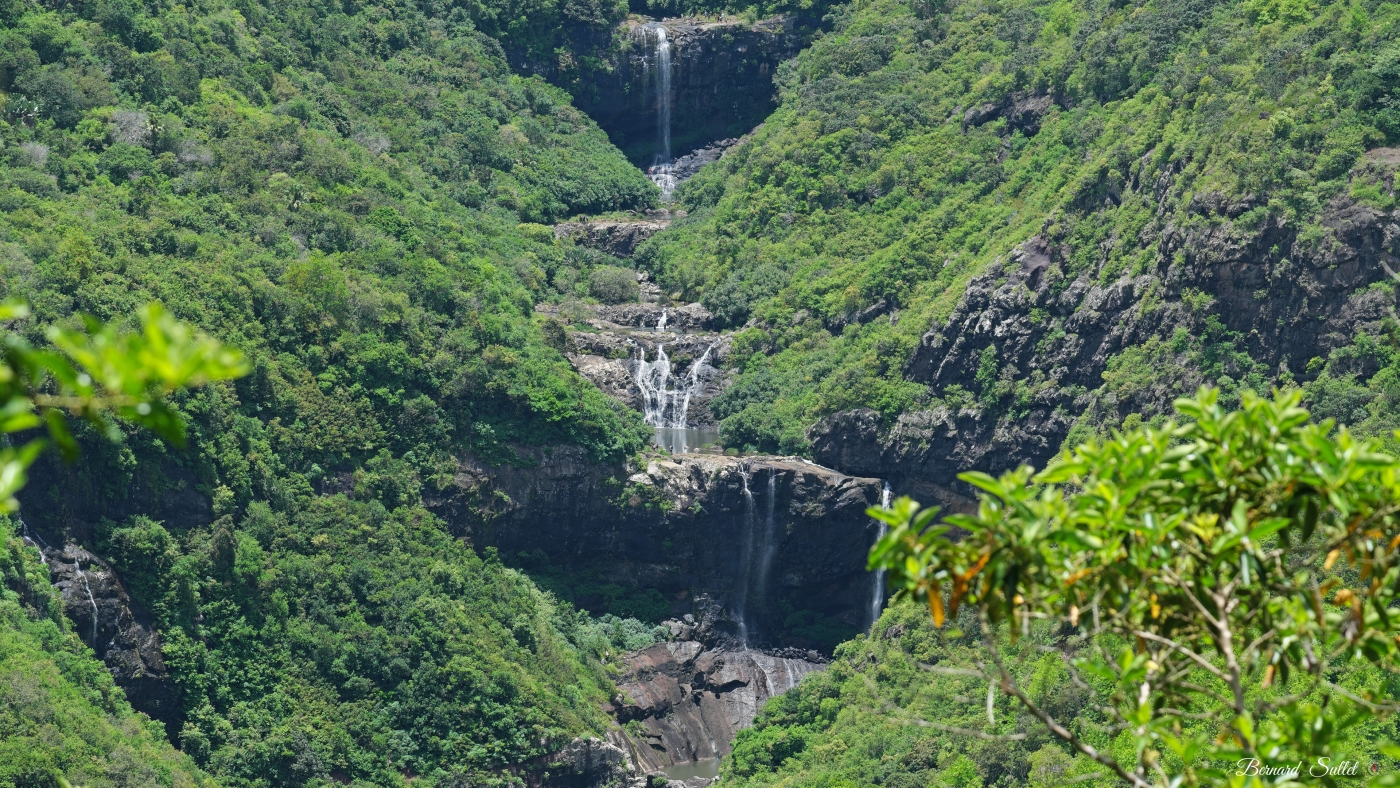 DSCF1505.jpg