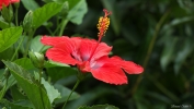 SAM_0546.jpg SAM_0546.jpg