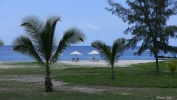 SAM_0550.jpg SAM_0550.jpg
