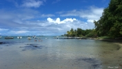 SAM_0690.jpg SAM_0690.jpg