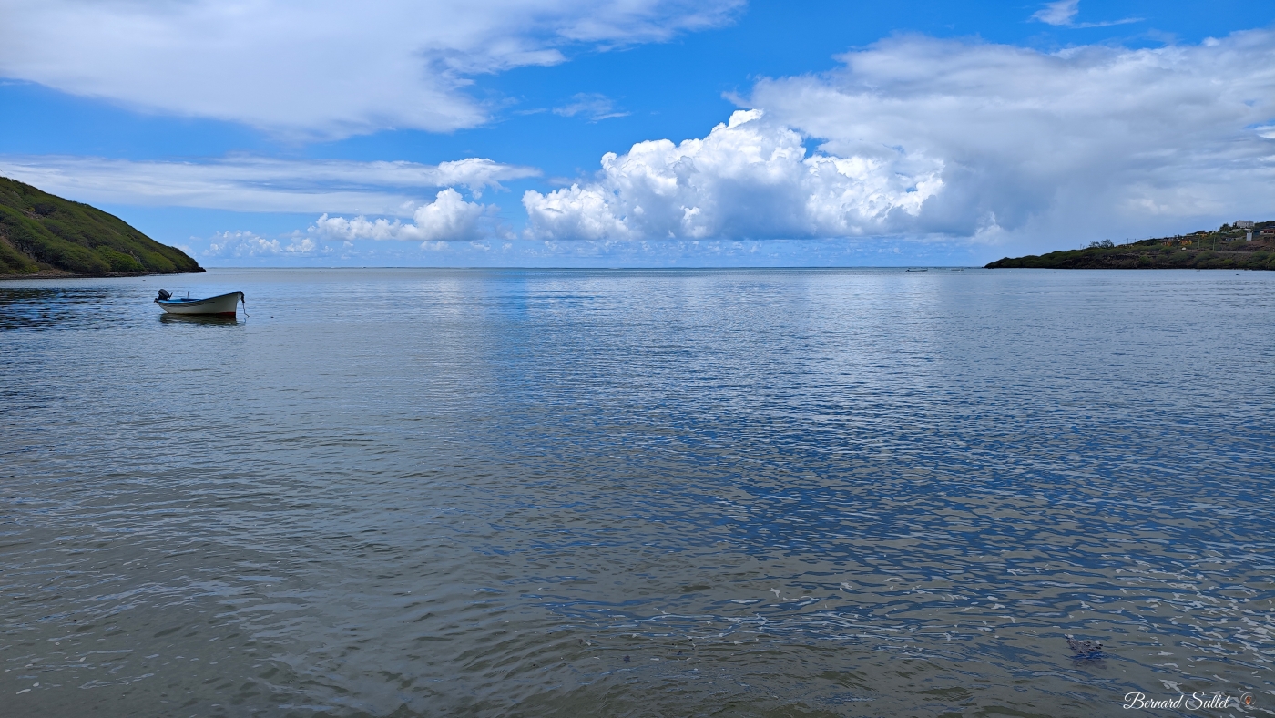 IMG_20250213_130441.jpg
