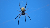DSCF3151.jpg