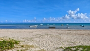 IMG_20250211_160349.jpg