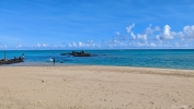 IMG_20250211_161448.jpg