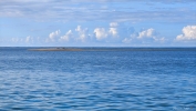 IMG_20250213_161509.jpg