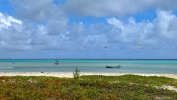 IMG_20250216_141823.jpg