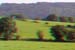 DSCF0119